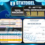 imgpsh_fullsize_anim