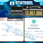 JP WILD BANDITO 13JT